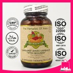 The Herbalist Of Asia Lagundi Leave Capsule 500mg 90 Vegetarian Capsules